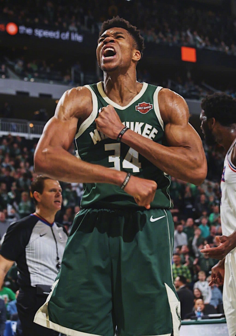 三角草博视 三角草博视